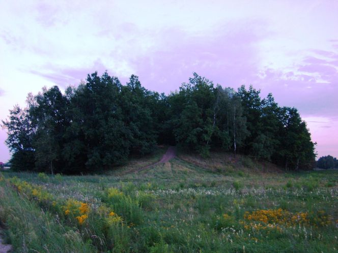 Całka