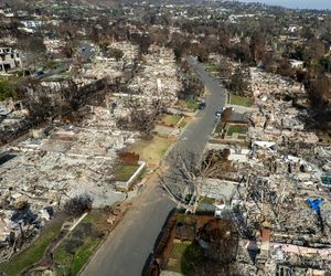 To on podpalił Kalifornię! Szaleniec odpowiada za wielkie pożary