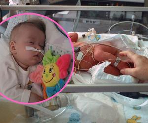 Rodzice chorego Olafka żądają sprawiedliwości. Nie wybaczę tego nigdy i nigdy nie przestanę walczyć