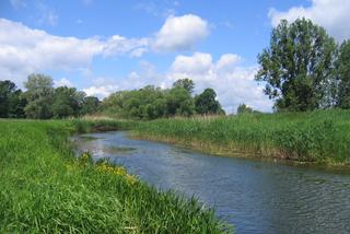 Weekend we Wrocławiu? Mamy aż 6 pięknych miejsc docenionych przez sieć Natura 2000