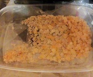 Kolejny cios w narkobiznes. Policja zlikwidowała tajne laboratorium pod Bydgoszczą!