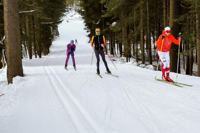 Biegi narciarskie na terenie Centralnego Ośrodka Sportu w Zakopane