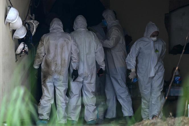 Makabryczne odkrycie. Zwłoki 40 osób za domem policjanta z Salwadoru