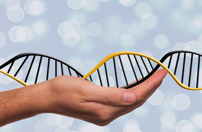 Jeśli masz geny po NEANDERTALCZYKACH, pewnie zaraza CIĘ NIE DOPADNIE