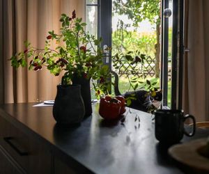 Metamorfoza siedliska na Mazurach