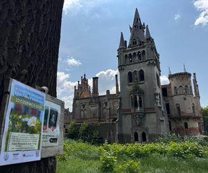 Kopice: Wakacyjna uczta dla ducha! Uczcij pamięć hrabiny Schaffgotsch i pomóż odbudować pałac