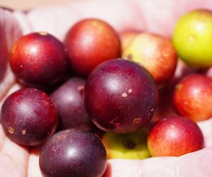 Mało znane owoce z rekordową zawartością witaminy C. Poznaj je już dziś, by wspierać odporność