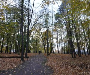 Park Lubomirskich w Białymstoku jesienią 