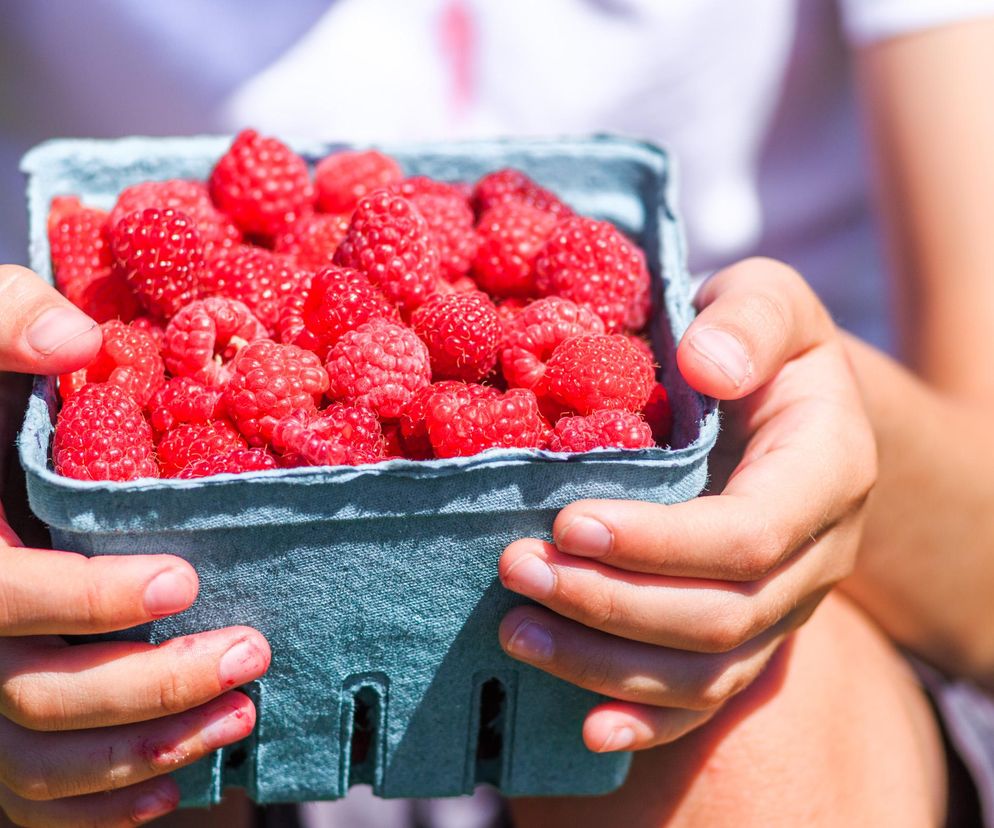 Tym osobom maliny mogą zaszkodzić. Sprawdź, czy jesteś w grupie ryzyka
