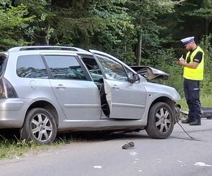 Wypadek na Zgodnej