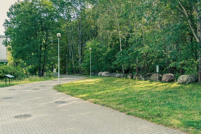 Białystok buduje Park Bioróżnorodności