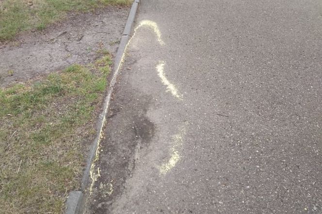 Żółty pył na ulicach Tarnowa. Czy jest groźny dla zdrowia?