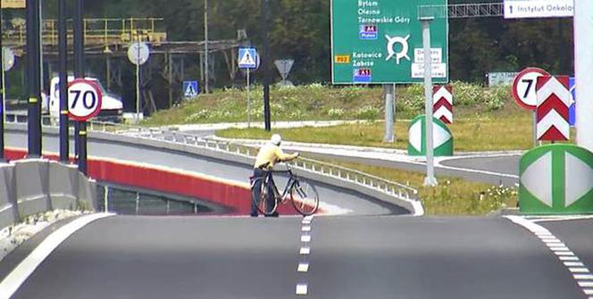 Jak zachowują się piesi na Drogowej Trasie Średnicowej?