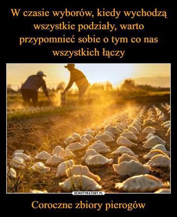 Wybory 2023 najlepsze MEMY. Szydera na maksa! Internauci bezlitośni dla polityków