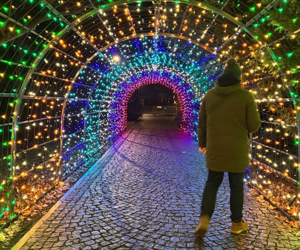 W tym miejscu we Wrocławiu się oświadczają. Garden of Lights nadal otwarte