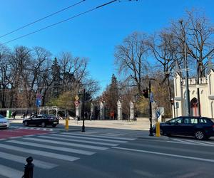Najstarszy park w Lublinie ma już 187 lat! Sas był w Lublinie od zawsze