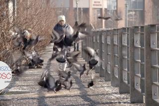 Pierwsza miłość odc. 3771. Marysia (Aneta Zając)