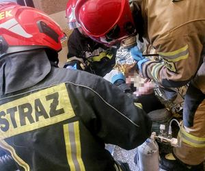 Pożar w wieżowcu na terenie Torunia. 7 zastępów straży w akcji