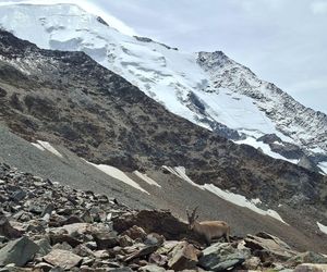 Strażacy z Tarnowa zdobyli Mont Blanc
