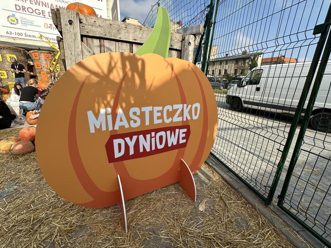 Miasteczko dyniowe w Śremie