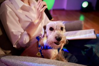 Płock stał się Oryginalny! Młodzież poczuła moc emocji i autentycznego przekazu z Projektantami Dobrostanu i Adamo RUDNIKIEM