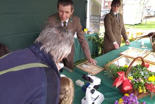 13. Jarmark św. Stanisława w Siedlcach - fotorelacja