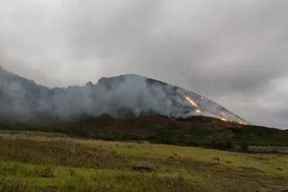 Posągi z Wyspy Wielkanocnej uszkodzone w pożarze