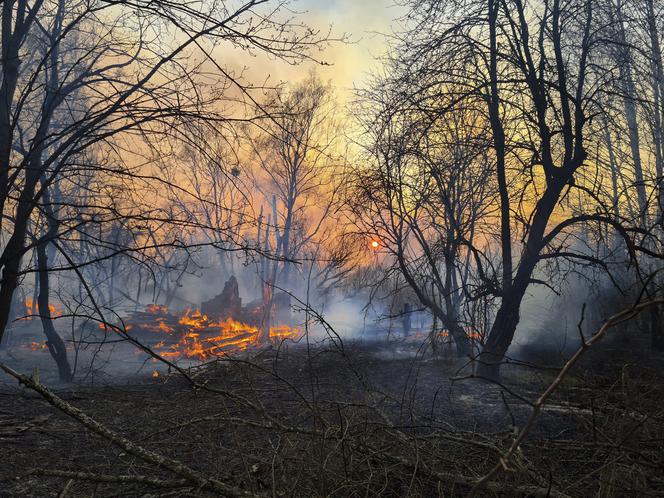 Ugasili pożar w Czarnobylu