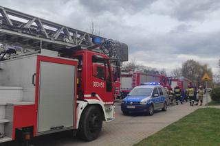 Straż pożarna na Zielonych Wzgórzach. Przypalony garnek zaalarmował służby