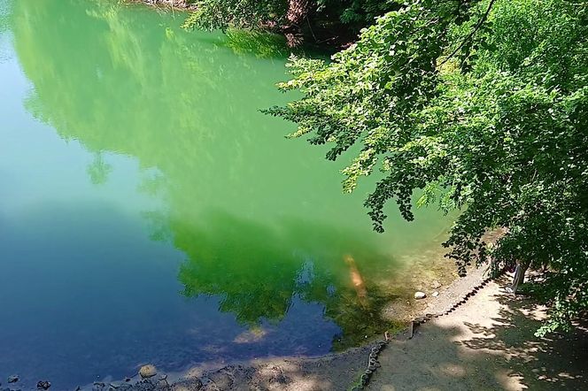 Jezioro Szmaragdowe w Szczecinie