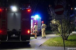 Makabra w Gostyninie, zwłoki w piwnicy bloku! Prokuratura bada sprawę