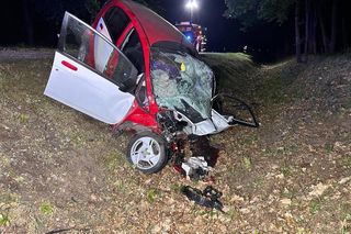 Śmiertelny wypadek pod Miliczem. 18-latek nie żyje [ZDJĘCIE]. 