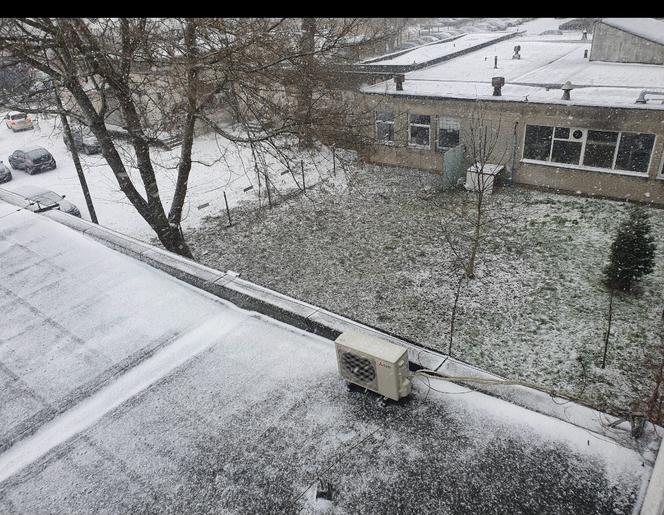 Śnieżyca i wichury atakują Toruń. Wymowne zdjęcia