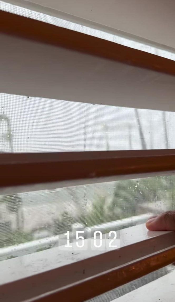 Aleksandra Żebrowska