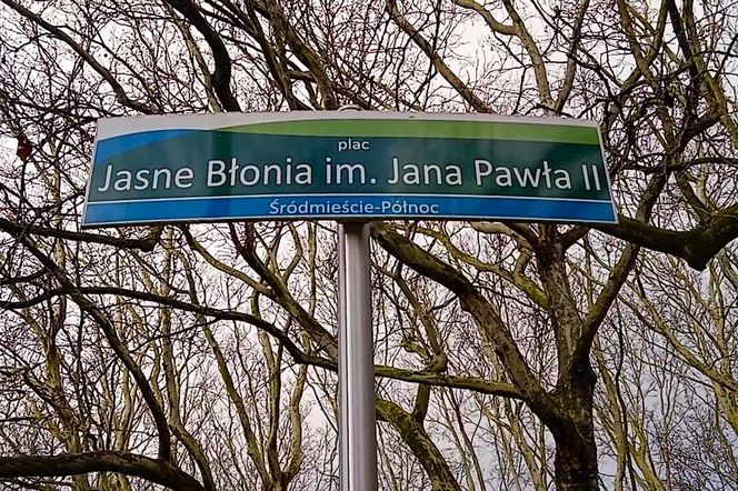 Pierwsze krokusy na Jasnych Błoniach