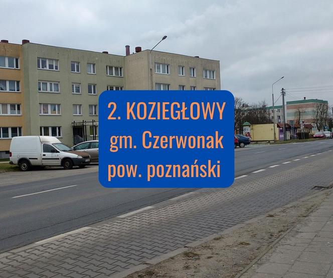 2. Koziegłowy