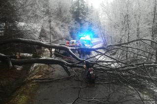 Wypadek w Sopotni Małej