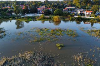Sytuacja powodziowa w Cigacicach 21 września 2024