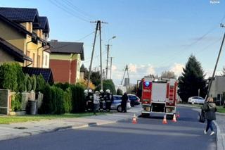 Służby zabrały psy i koty z domu w Rybniku. Były trzymane w bardzo złych warunkach