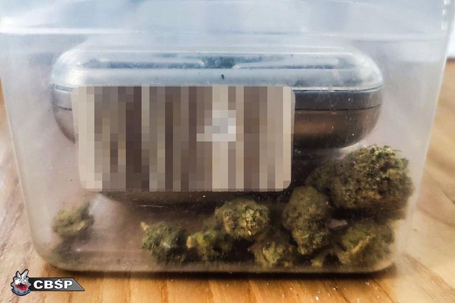 Pseudokibice za kratami. Wielka akcja policji, ponad 20 osób zatrzymanych