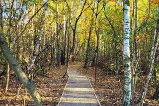 Park rzeczny Tetmajera