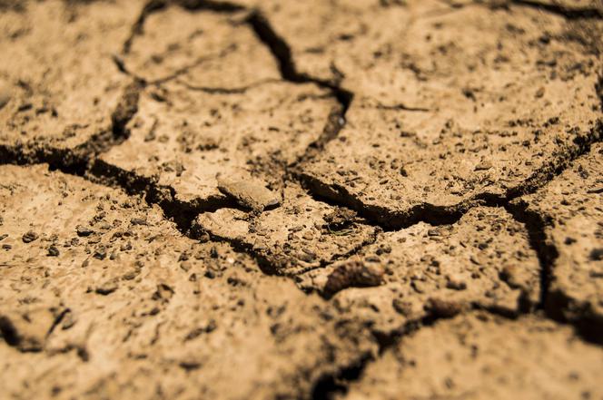 Sensacyjna prognoza pogody na marzec. Wszystko się zmieni! Meteorolodzy nie mają wątpliwości