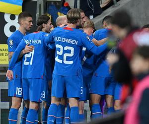 Osiem osób zatrzymanych po meczu Ukraina - Islandia. Policja: Można powiedzieć, że było bezpiecznie
