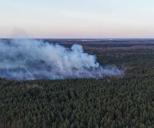 Płonie poligon pod Warszawą. Dym widać z daleka. Ogień nie jest jeszcze opanowany