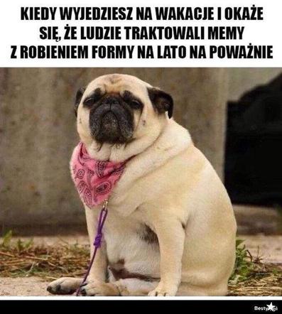  Polacy na wakacjach dają czadu! Zobacz NAJLEPSZE MEMY: Janusz i Grażyna w formie