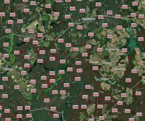 Mapa wycinki lasów 2025 - woj. zachodniopomorskie