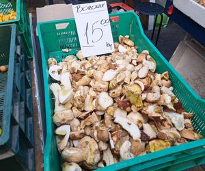 Ceny grzybów na Nowym i Starym Kleparzu w Krakowie