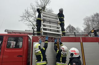 Koszmarny wypadek na DK 10 w Makowiskach pod Bydgoszczą! Ranny kierowca w szpitalu [ZDJĘCIA]