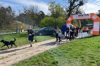 Dogtrekking w Poznaniu