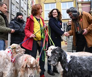 Gdańsk. Prezydent Gdańska Aleksandra Dulkiewicz kwestuje w ramach 33. Finału Wielkiej Orkiestry Świątecznej Pomocy